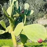 Sea South Front Property1/2acre.gardens Pool Hydro Villa Pieve Ligure