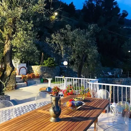 Sea South Front Property1/2acre.gardens Pool Hydro Βίλα *