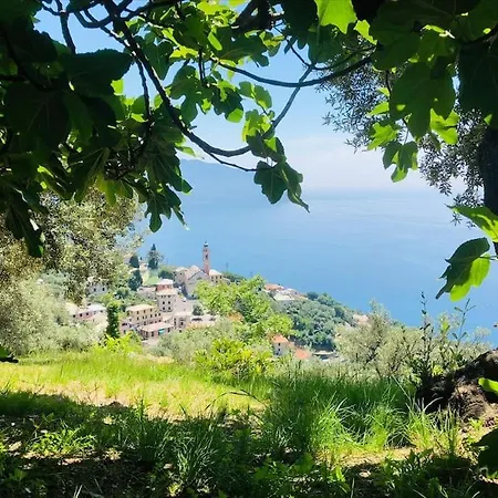 Sea South Front Property1/2acre.gardens Pool Hydro Βίλα *
