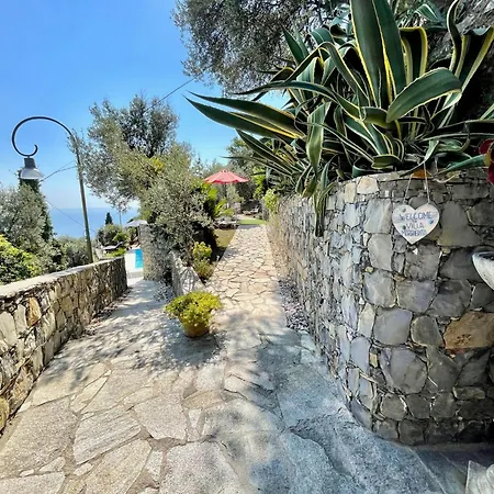 Sea South Front Property1/2acre.gardens Pool Hydro 빌라