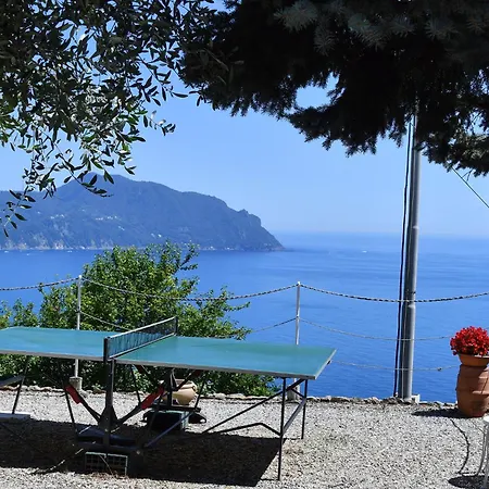 Sea South Front Property1/2acre.gardens Pool Hydro Βίλα *