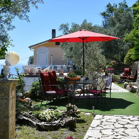 Sea South Front Property1/2acre.gardens Pool Hydro