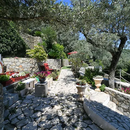 Sea South Front Property1/2acre.gardens Pool Hydro 빌라 *