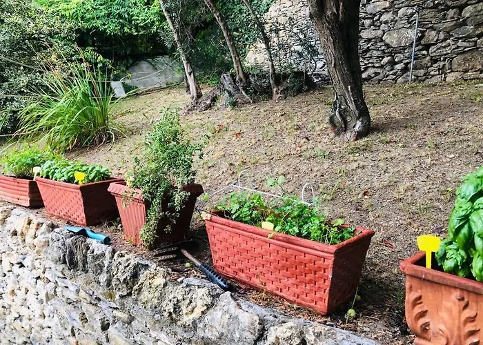 Sea South Front Property1/2acre.gardens Pool Hydro * Pieve Ligure