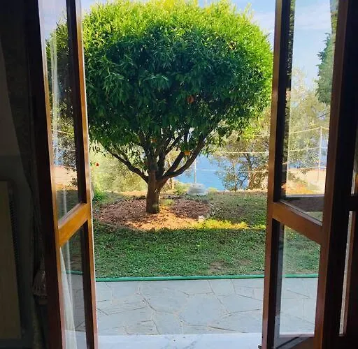 Sea South Front Property1/2acre.gardens Pool Hydro