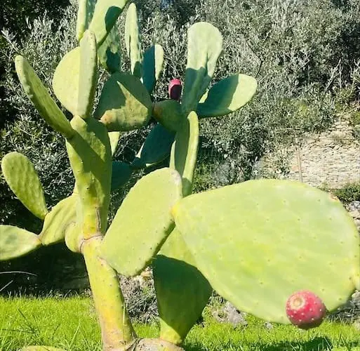 Sea South Front Property1/2acre.gardens Pool Hydro Villa Pieve Ligure