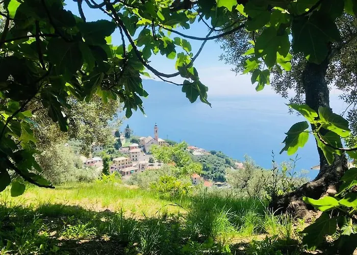 Sea South Front Property1/2acre.gardens Pool Hydro 빌라 *