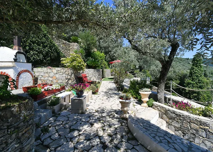 Sea South Front Property1/2acre.gardens Pool Hydro Villa *