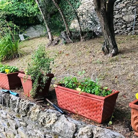 Sea South Front Property1/2acre.gardens Pool Hydro * Pieve Ligure