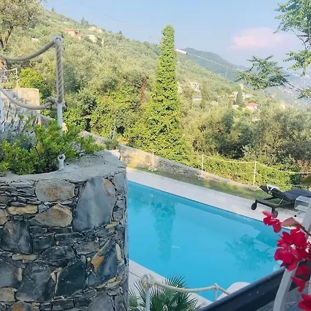 Sea South Front Property1/2acre.gardens Pool Hydro *