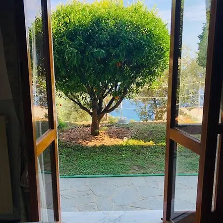 Sea South Front Property1/2acre.gardens Pool Hydro