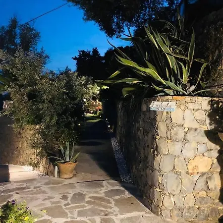 Sea South Front Property1/2acre.gardens Pool Hydro ヴィラ