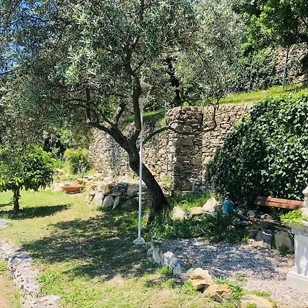 Sea South Front Property1/2acre.gardens Pool Hydro *