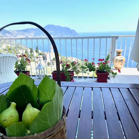 Sea South Front Property1/2acre.gardens Pool Hydro * Pieve Ligure