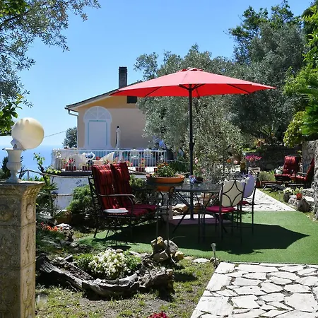 Sea South Front Property1/2acre.gardens Pool Hydro